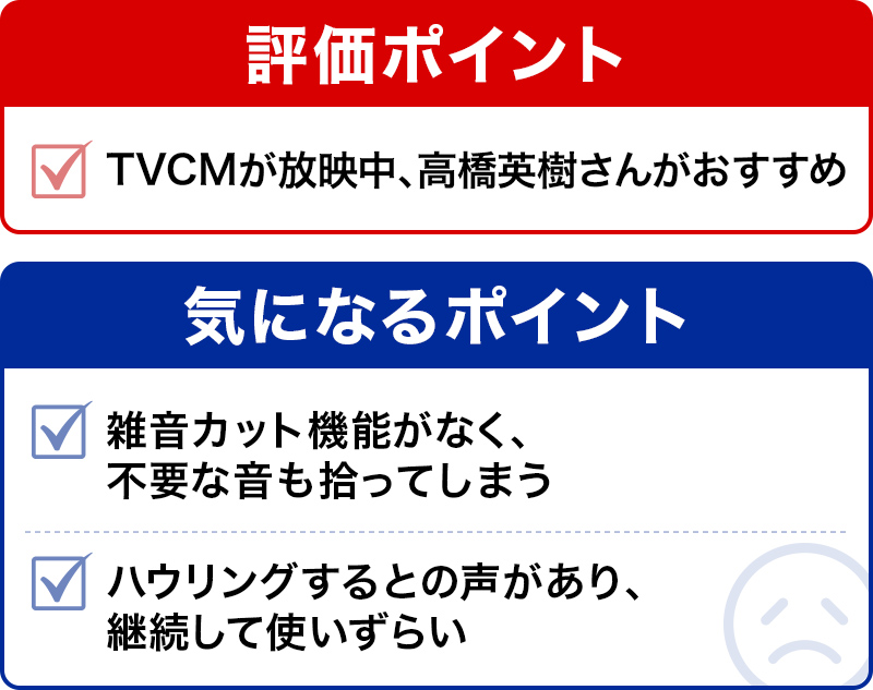 評価ポイントと気になるポイント